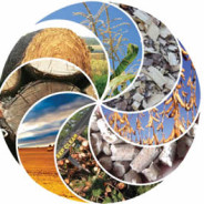 Biomass and Land Conflicts