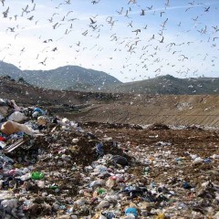 Scoperta nel Salernitano discarica grande quanto 53 campi di calcio