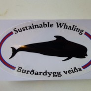 [:en]Framing “necessity” and whale-hunting in the Faroe Islands[:]