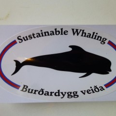 [:en]Framing “necessity” and whale-hunting in the Faroe Islands[:]