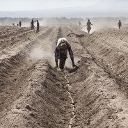 Etiopia: la diga “italiana” e il land grabbing riducono i Kwegu alla fame