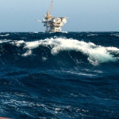 Trivelle: Puglia sotto attacco dal Gargano al Salento