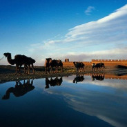La nuova Via della Seta