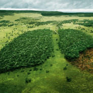 In Italia l’aria inquinata causa il 7% dei decessi. In Lombardia e Campania si muore di più