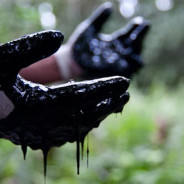 RAPPORTO ECOMAFIE: UN 2014 RECORD CON 30MILA REATI E 22 MILIARDI IL GIRO DI AFFARI