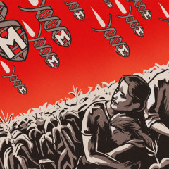 [:en]Colombia’s first steps of resistance against Monsanto’s chemical war[:]