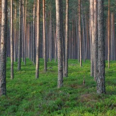 Conferenza ENTITLE: Undisciplined Environments