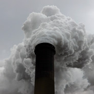 Undisciplined Activism – il workshop a cura del CDCA nella Conferenza Entitle