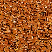 Cinque multinazionali controllano il mercato dei semi di tutta Europa