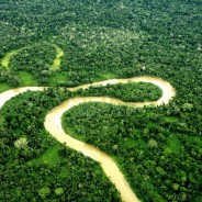 Dichiarazione della Conferenza Mondiale dei Popoli sul Cambiamento Climatico e la Difesa della Vita Tiquipaya – Bolivia
