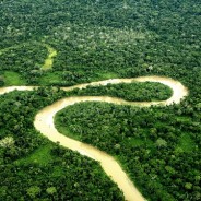 La strada «segreta» dei pozzi di petrolio nel parco di Yasuni