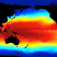 Clima: con Super El Niño milioni di persone a rischio fame