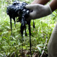 [:en]Latest News on the (never-ending) Texaco/Chevron in Ecuador case[:]