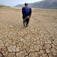 25 cose da fare subito per il clima