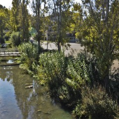 Contratto di fiume Feltrino