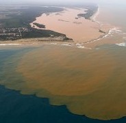 Brasile, disastro ambientale nel Rio Doce. Onu: “Sostanze tossiche nel fango”
