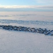 Kivalina, la città in Alaska che scompare a causa del global warming