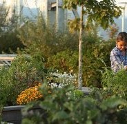 Il clima (e non solo) a Parigi