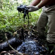Canada: semaforo verde per le 30.000 vittime di Chevron/Texaco