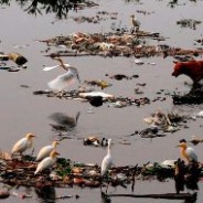 Acqua morta: i 10 fiumi più inquinati del mondo