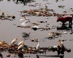 Acqua morta: i 10 fiumi più inquinati del mondo