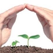 La sicurezza alimentare pensando al clima