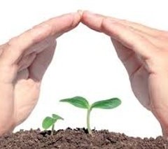 La sicurezza alimentare pensando al clima