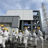 Ambiente: nuove opportunità per tecnici, consulenti e periti