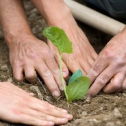 L’agricoltura contadina combatte il riscaldamento del pianeta