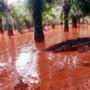 Polvere rossa di bauxite, in Malesia il disastro ambientale di cui nessuno parla