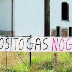Così la scienza contesta il Parlamento