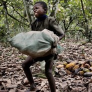 Le 7 marche di cioccolato che sfruttano il lavoro minorile