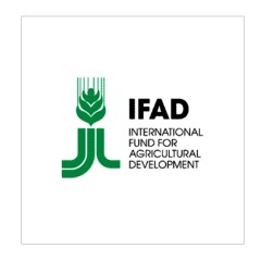 Rapporto IFAD: il cambiamento climatico non fa notizia