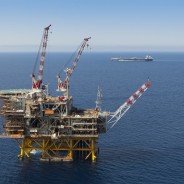 Referendum trivelle, il Comitato per il sì presenta ricorso al Mise. Il premier: “Italiani si sono espressi”