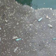 Scandalo ENI, 13 mila tonnellate di rifiuti portate a Chieti Scalo