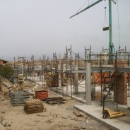 Festa grande nei circoli degli speculatori