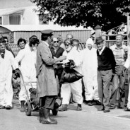 Seveso quarant’anni dopo