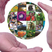 Biodiversità, allarme degli esperti: pericolo anche per uomo