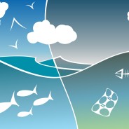 Presente e futuro delle aree costiere nel rapporto Ambiente Italia 2016