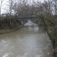 Rapporto Epidemiologico sulla Popolazione Residente in Prossimità del Fiume Sacco