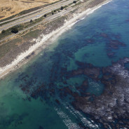 Disastro ambientale in Canada, migliaia di fuoriuscite di petrolio