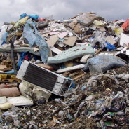 I crimini ambientali saranno puniti come il genocidio e i crimini di guerra