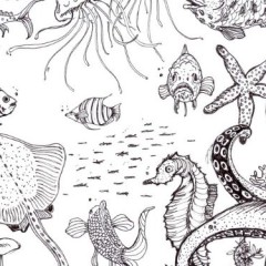 Un mare di plastica