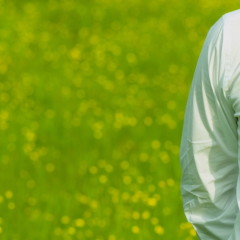Lavoro, ecco dove sono più richiesti i green jobs in Italia