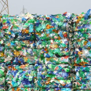 Rifiuti, in Italia 2,1 milioni di tonnellate di plastica: se ne ricicla solo un quarto