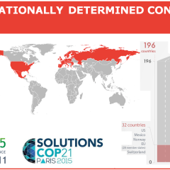 Le criticità degli Intended Nationally Determined Contributions