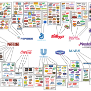 Gli “elefanti” nelle stanze delle negoziazioni climatiche