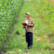 Il principio di sussidiarietà in materia di ambiente