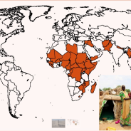 Fao: le guerre continuano ad inasprire l’insicurezza alimentare