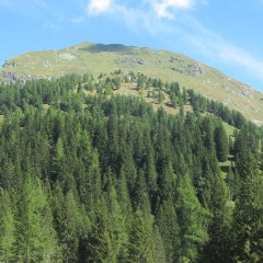 Habitat europei a rischio scomparsa